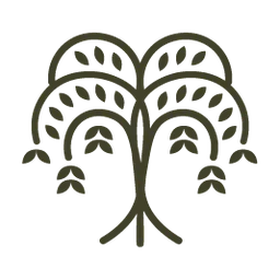 Willow Tree Recovery