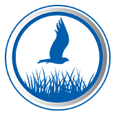 Aviary Recovery Center