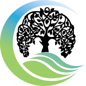 Genesis Programs Inc