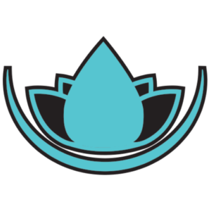 Scottsdale Recovery II LLC